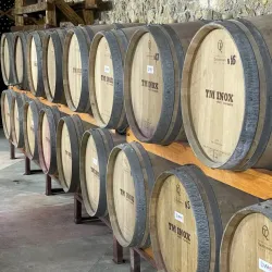 Surrounding Vineyards and Countryside - Vulcanesti