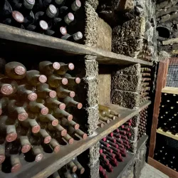 Surrounding Vineyards and Countryside - Vulcanesti