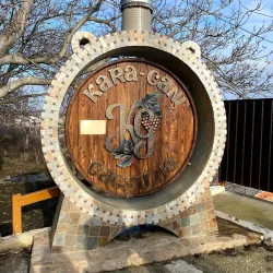 Surrounding Vineyards and Countryside - Vulcanesti