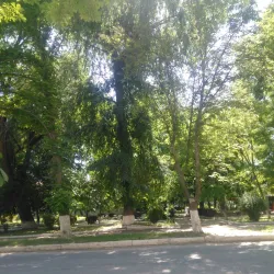Vulcănești Central Park - Vulcanesti