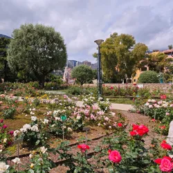 Fontvieille Park and Princess Grace Rose Garden - La Condamine