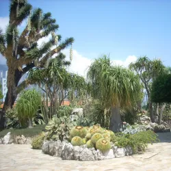 Exotic Garden of Monaco - Monte Carlo