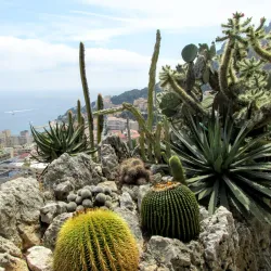 Exotic Garden of Monaco - Monte Carlo