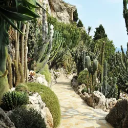 Exotic Garden of Monaco - Monte Carlo
