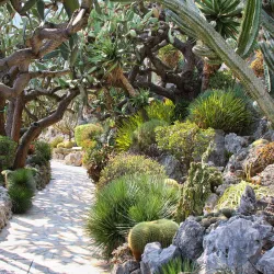 Exotic Garden of Monaco - Monte Carlo