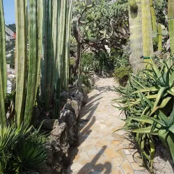 Exotic Garden of Monaco - Monte Carlo