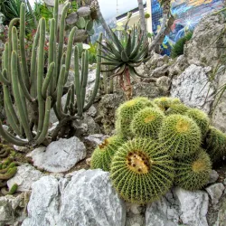 Exotic Garden of Monaco - Monte Carlo