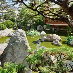 Japanese Garden - Monte Carlo