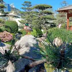Japanese Garden - Monte Carlo