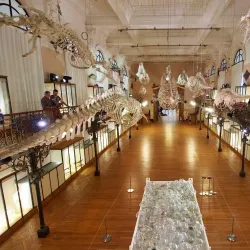 Oceanographic Museum - Monte Carlo