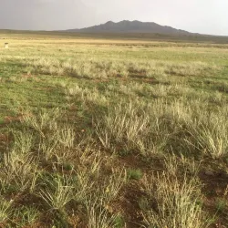 Choyr Steppe - Choyr