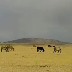 Choyr Steppe - Choyr