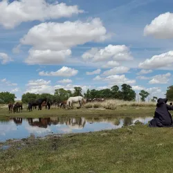 Gobi Desert Edge - Choyr