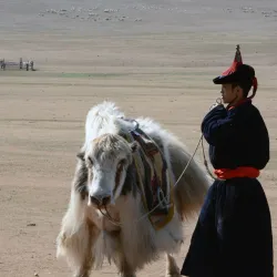 Nomadic Family Visits - Choyr