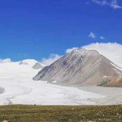 Nomadic Family Visits - Choyr