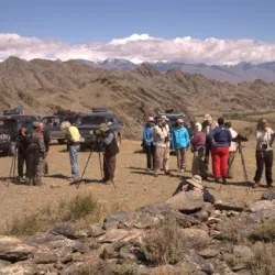 Nomadic Family Visits - Choyr