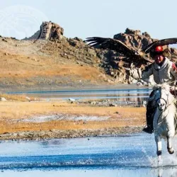 Nomadic Family Visits - Choyr