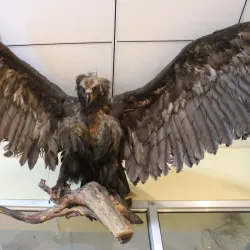 Darkhan Regional Museum - Darkhan (Darhan)