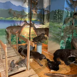 Darkhan Regional Museum - Darkhan (Darhan)