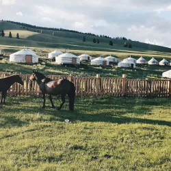 Tsenkher Hot Springs (near Darkhan) - Darkhan (Darhan)