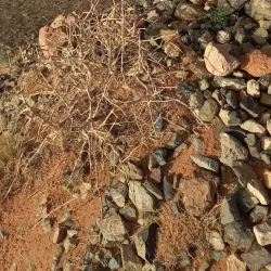 Bayanzag (Flaming Cliffs) - Mandalgovi