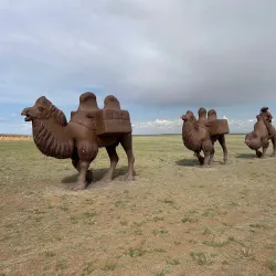 Bayanzag (Flaming Cliffs) - Mandalgovi