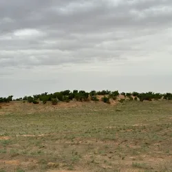 Bayanzag (Flaming Cliffs) - Mandalgovi