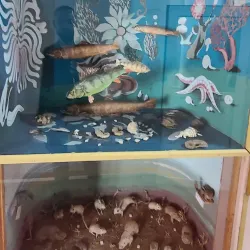 Dundgovi Museum - Mandalgovi