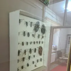 Dundgovi Museum - Mandalgovi