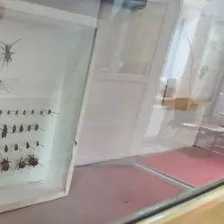 Dundgovi Museum - Mandalgovi