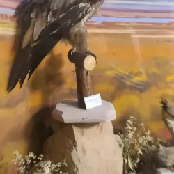 Dundgovi Museum - Mandalgovi