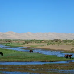 Gurvan Saikhan National Park - Mandalgovi