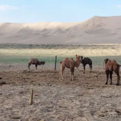 Gurvan Saikhan National Park - Mandalgovi