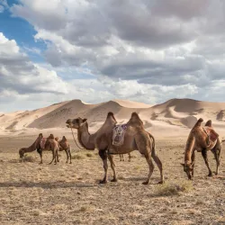 Gurvan Saikhan National Park - Mandalgovi