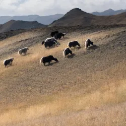 Gurvan Saikhan National Park - Mandalgovi