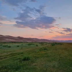 Khongoryn Els Sand Dunes - Mandalgovi