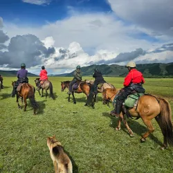 Steppe Horseback Riding Tours - Mandalgovi