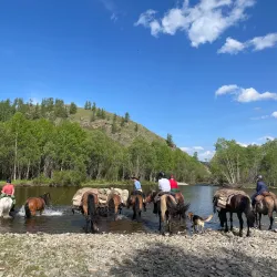 Steppe Horseback Riding Tours - Mandalgovi