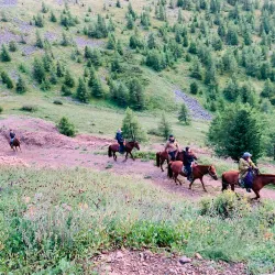 Tsenkher Hot Springs - Mandalgovi