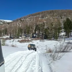 Khentii Mountains - Suhbaatar