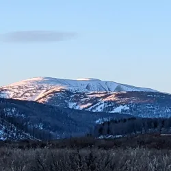Khentii Mountains - Suhbaatar