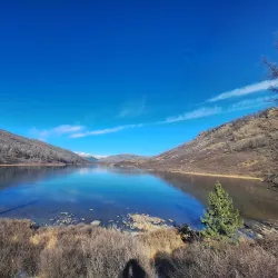 Khentii Mountains - Suhbaatar