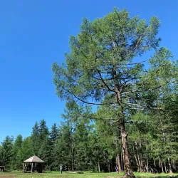 Onon-Balj National Park - Suhbaatar