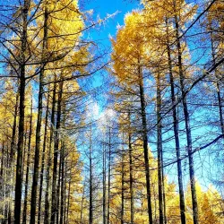 Onon-Balj National Park - Suhbaatar