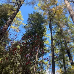 Onon-Balj National Park - Suhbaatar
