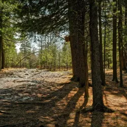 Onon-Balj National Park - Suhbaatar