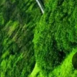 Onon River - Suhbaatar