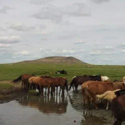 Sukhbaatar Province Museum - Suhbaatar