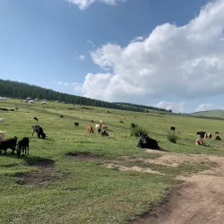 Khangai Mountains - Tsetserleg