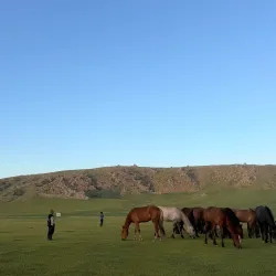 Orkhon Valley (Day Trip) - Tsetserleg